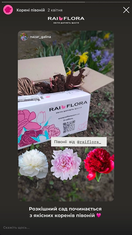 rozpakuvannya-pivoniy-realniy-vidguk-rai-flora
